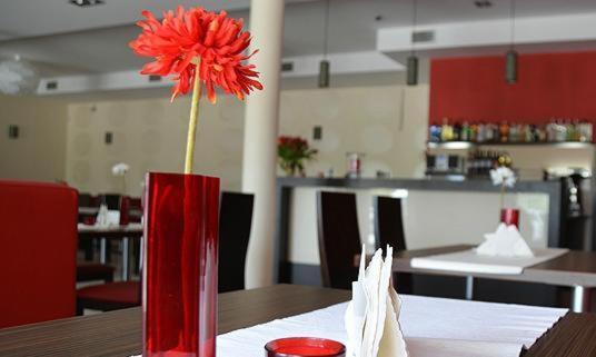 Hotel Cynamon Tokarnia  Екстер'єр фото